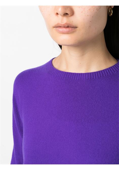 Maglia in cashmere Amal viola elettrico VANISE' | V24604-AMALPURPLE