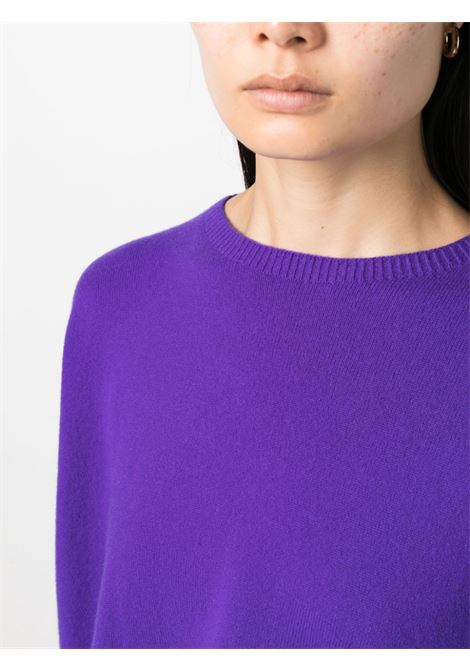 maglia viola Vicky in cashmere con girocollo VANISE' | V26610-VICKYPURPLE